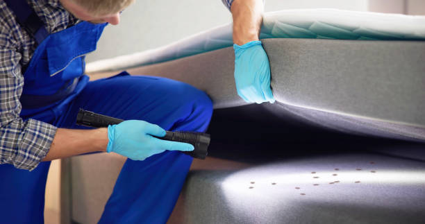 Best Termite Control Services  in Canton, SD