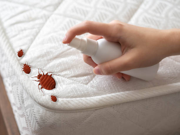 Reliable Canton, SD Pest Control Solutions