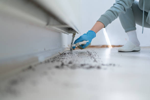 Best Mosquito Control Services  in Canton, SD