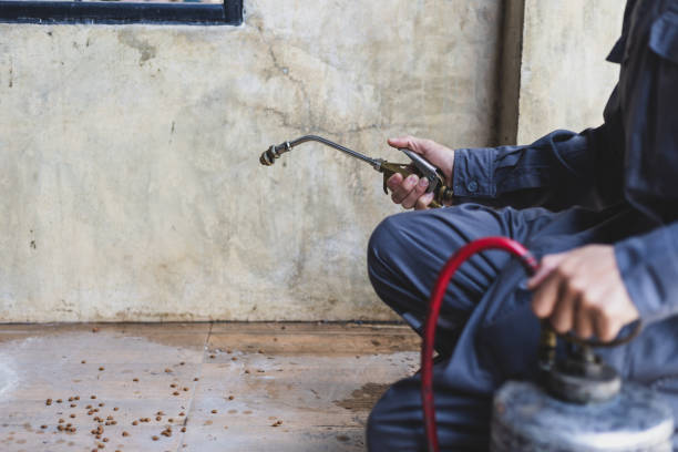 Pest Prevention Services in Canton, SD